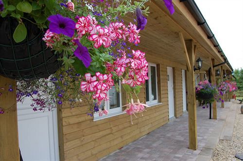 The Flying Fish Stables Hotel Ilminster Luaran gambar